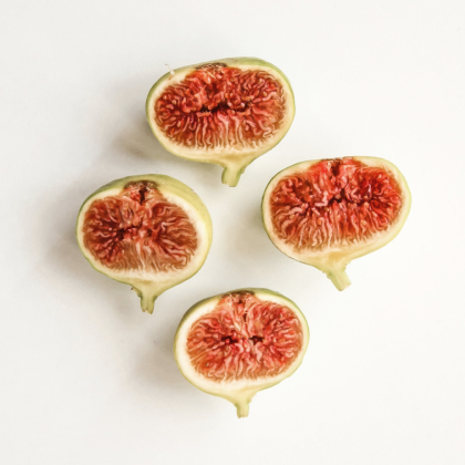 Holistic Nutrition Naturopath Natural Medicine Allopathic Montreal Canada